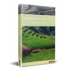 Vietnamese New Testament