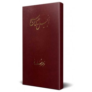 Farsi New Testament Bible