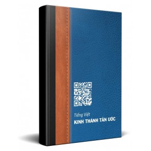 Vietnamese Interactive City Bible New Testament